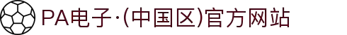 PA电子·(中国区)官方网站